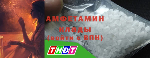 стаф Новый Уренгой