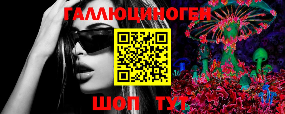 Богородицк  Псилоцибиновые грибы мухоморы  Вход с VPN 