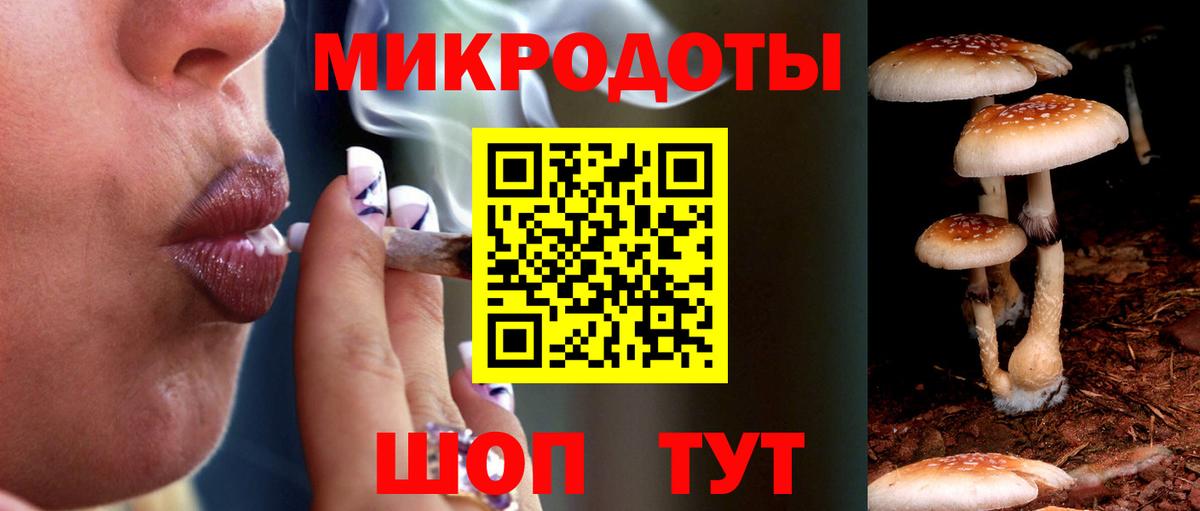Галлюциногенные грибы Psilocybine cubensis Богородицк