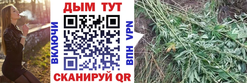 Шишки марихуана OG Kush  МЕГА маркетплейс  Богородицк 